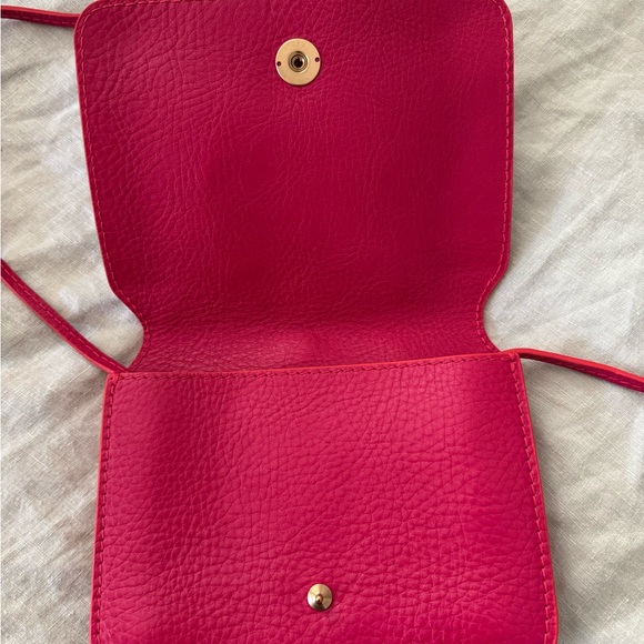 Lindquist Object Ray in Pitaya - Picture 7 of 9